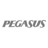 Pegasus - Leadership Meeting