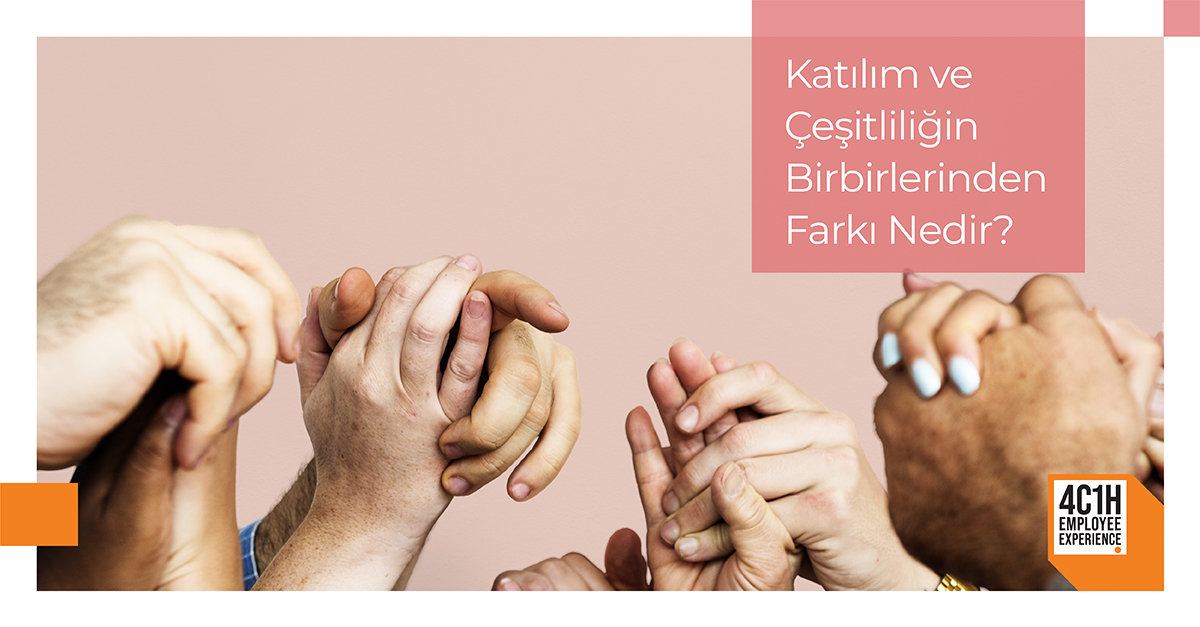 Katılım ve Çeşitliliğin Birbirinden Farkı Nedir? 