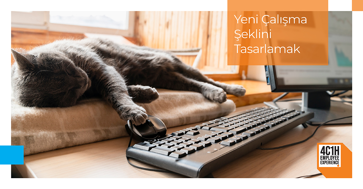 Yeni Çalışma Şeklini Tasarlamak 