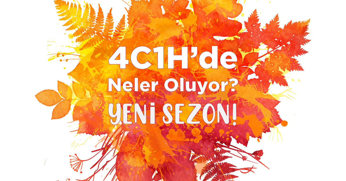 4C1H'de Neler Oluyor? 