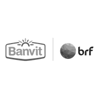 Banvit BRF Global - EVP Strategy & Employer Branding Management